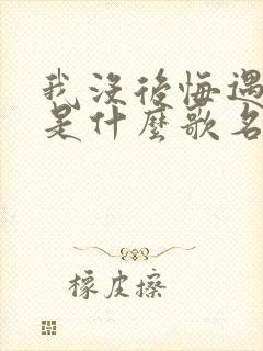 我没后悔遇见你是什么歌名