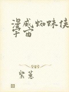 漫威蜘蛛侠平行宇宙