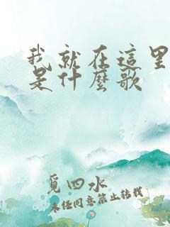 我就在这里等你是什么歌