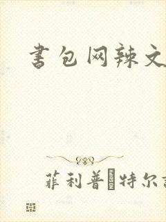 书包网辣文np