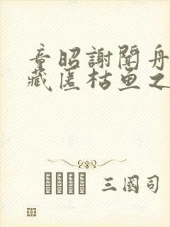 童昭谢闻舟往事藏匿枯鱼之肆全本阅读