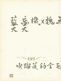 蓝忘机x魏无羡天天