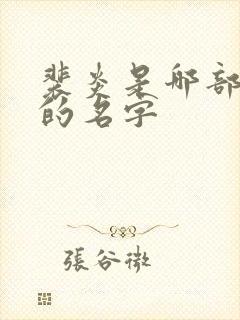 裴炎是哪部小说的名字