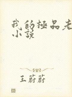 我的极品老婆 小说