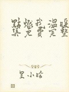 点燃我温暖你全集免费完整观看