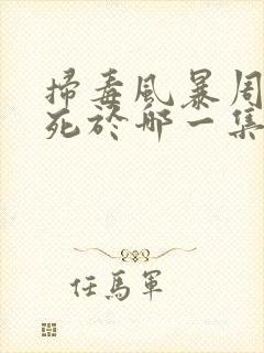 扫毒风暴周少雄死于哪一集