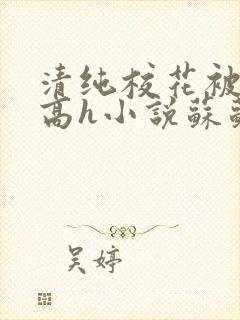 清纯校花被脔哭高h小说苏苏