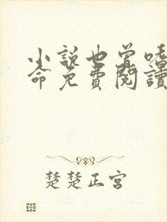 小说也曾嗜你如命免费阅读