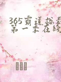 365霸道总裁第一季在线观看