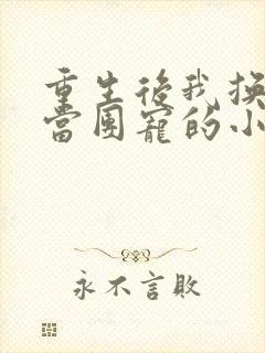 重生后我换一家当团宠的小说