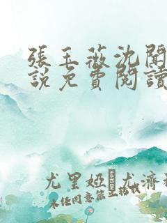 张玉薇沈闻天小说免费阅读最新章节