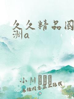 久久精品国产亚洲a