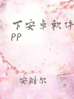 下安卓软件的app