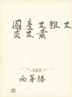 国产又粗又猛又爽又黄