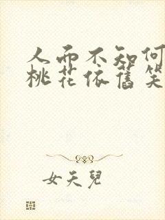 人面不知何处去桃花依旧笑春风的意思