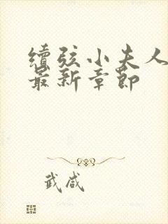 续弦小夫人下载最新章节