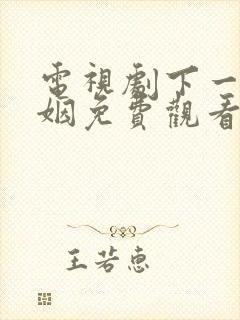 电视剧下一站婚姻免费观看全集高清