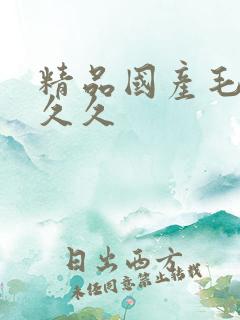 精品国产毛片久久久