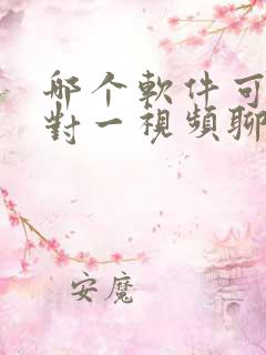 哪个软件可以一对一视频聊天