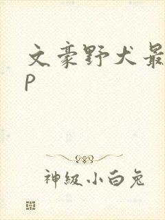 文豪野犬最火cp