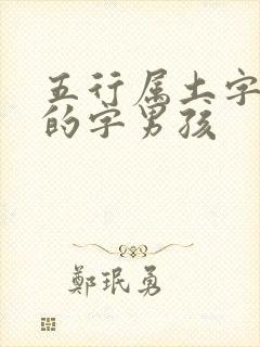 五行属土字最旺的字男孩