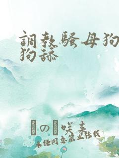 调教骚母狗给公狗舔