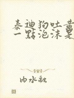 泰迪狗吐黄水有一点泡沫是什么原因