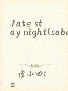fate stay night(saber线(2006)