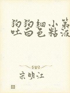 狗狗细小第四天吐白色粘液