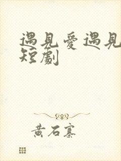 遇见爱遇见幸福短剧