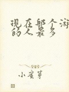 现在那个游戏玩的人最多