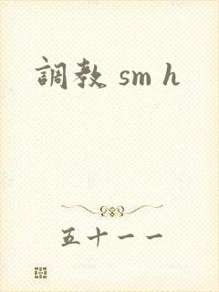 调教 sm h