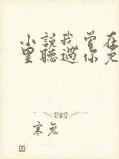 小说我曾在时光里听过你免费阅读