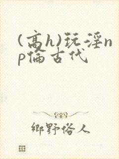 (高h)玩淫np伦古代