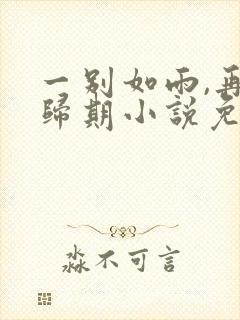 一别如雨,再无归期小说免费阅读