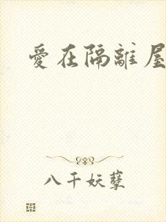 爱在隔离屋泰剧