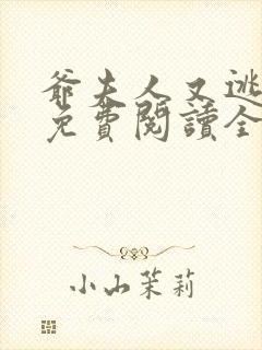 爷夫人又逃婚了免费阅读全文