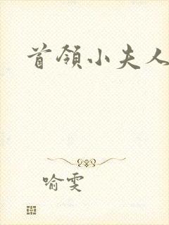 首领小夫人