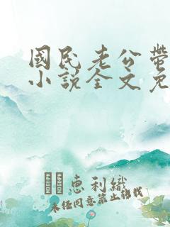 国民老公带回家小说全文免费阅读