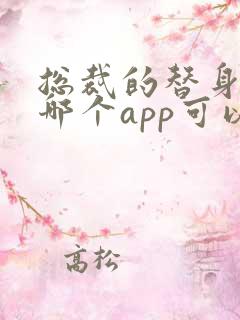 总裁的替身前妻哪个app可以看