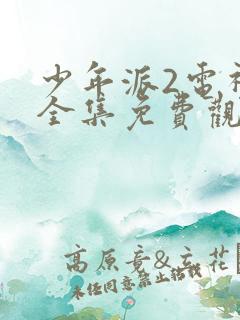 少年派2电视剧全集免费观看番外