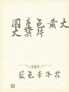 国产色黄大片十大禁片