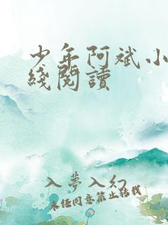 少年阿斌小说在线阅读