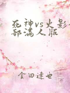 死神vs火影全部满人版