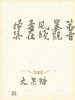 扫毒风暴第27集在线观看