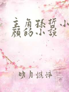 主角孙哲小妈朱颜的小说