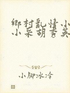 乡村乱情小雷和小采胡秀英