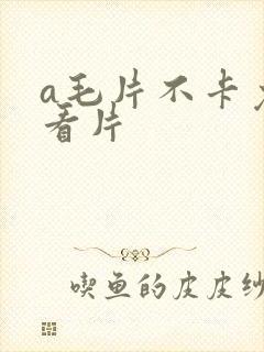 a毛片不卡免费看片
