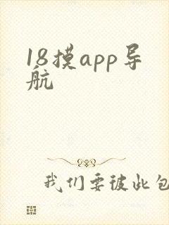 18摸app导航