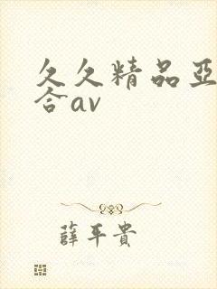 久久精品亚洲综合av